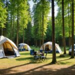 Que faire lors d’un séjour à cambo les bains ?